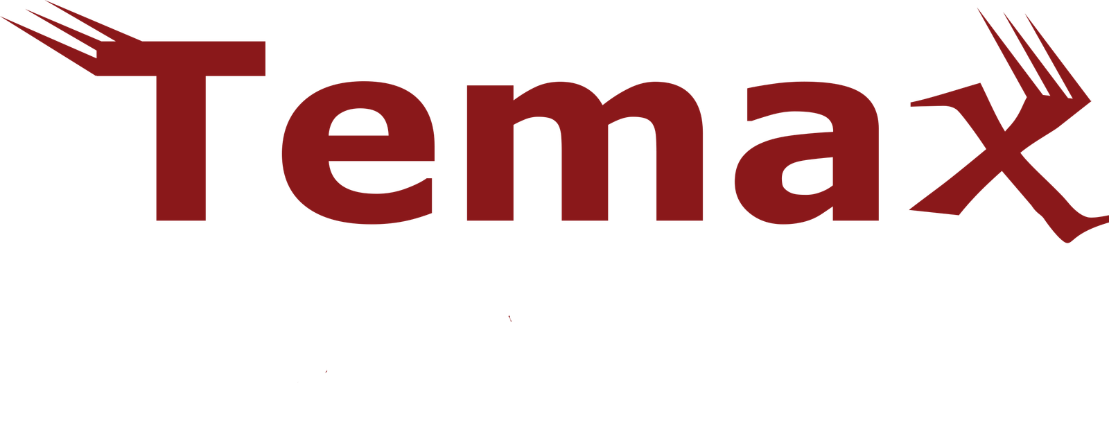Temax Logo